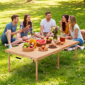 Folding Picnic Table